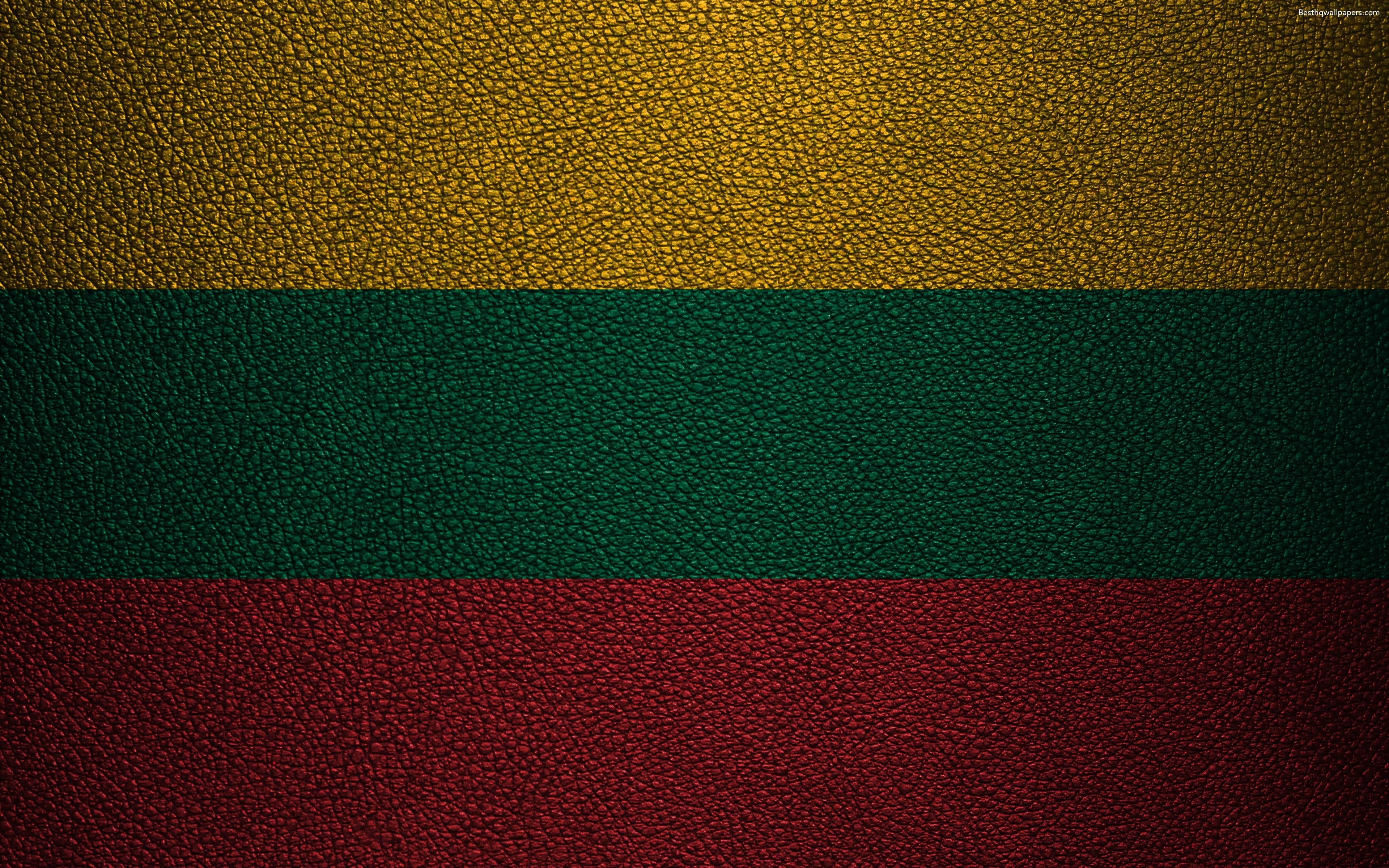 3840x2400 Download wallpaper Flag of Lithuania, 4k, leather texture, Desktop