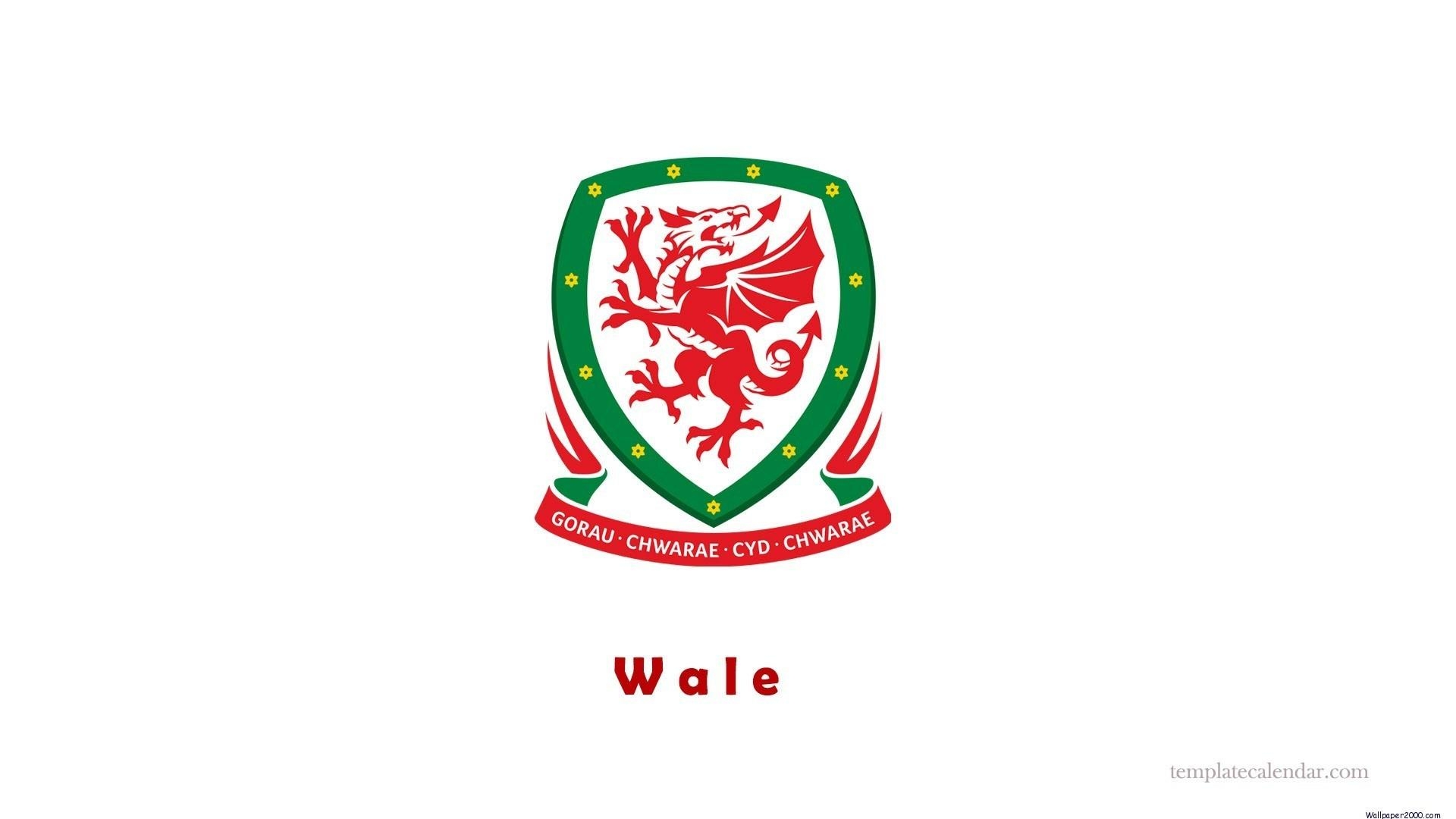 1920x1080 UEFA Euro 2016 Wales wallpaper, Desktop