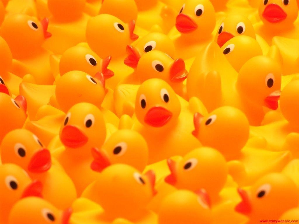 1030x770 Wallpaper For > Rubber Duck Wallpaper, Desktop