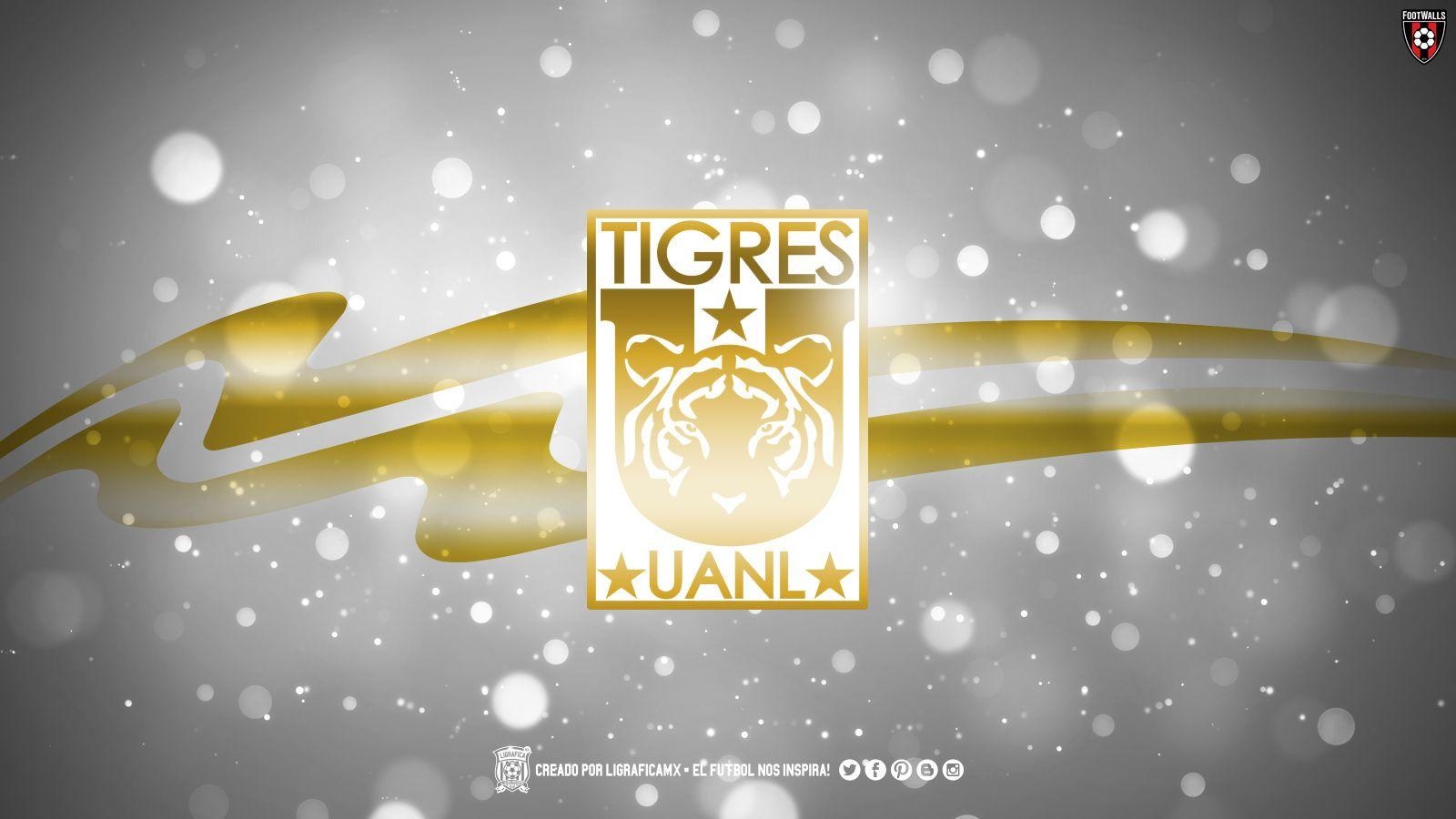 1600x900 Tigres U A N L Wallpaper, Desktop