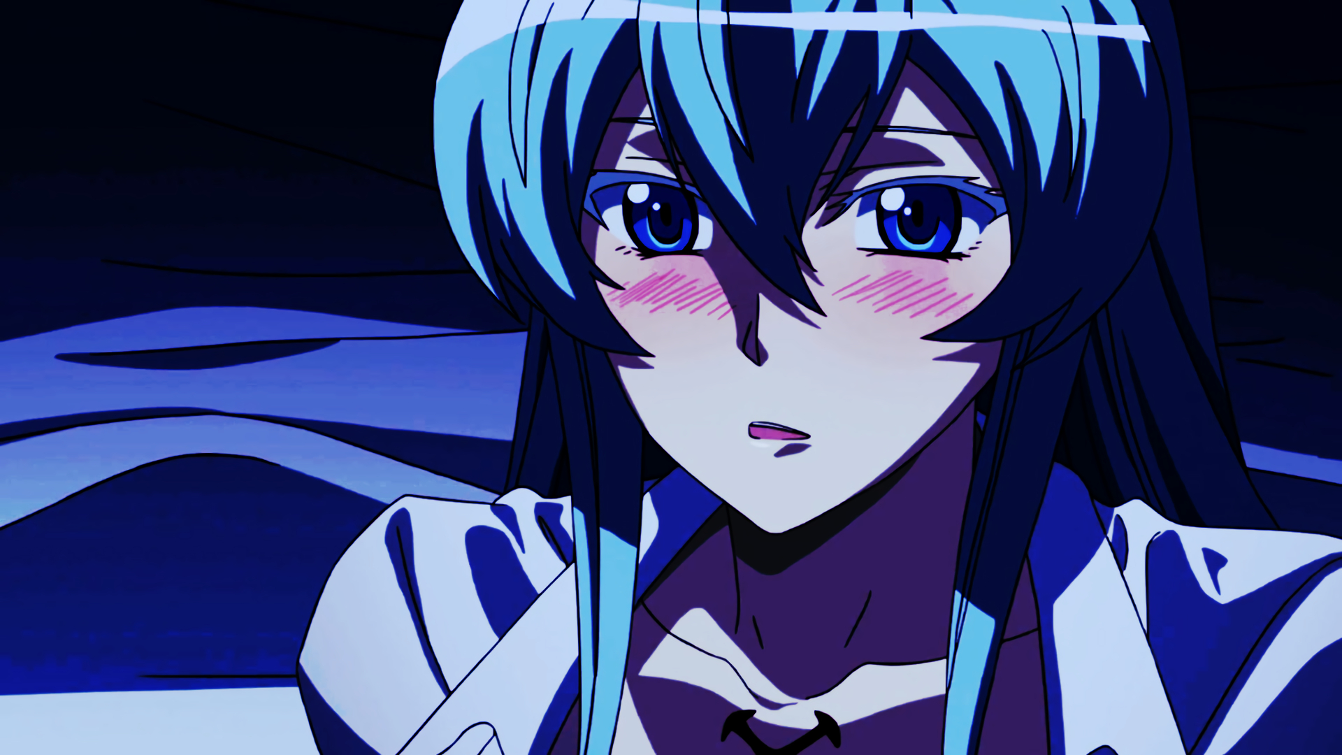 1920x1080 Wallpaper, illustration, anime, blue hair, artwork, Akame ga Kill, Esdeath, mangaka, Desktop