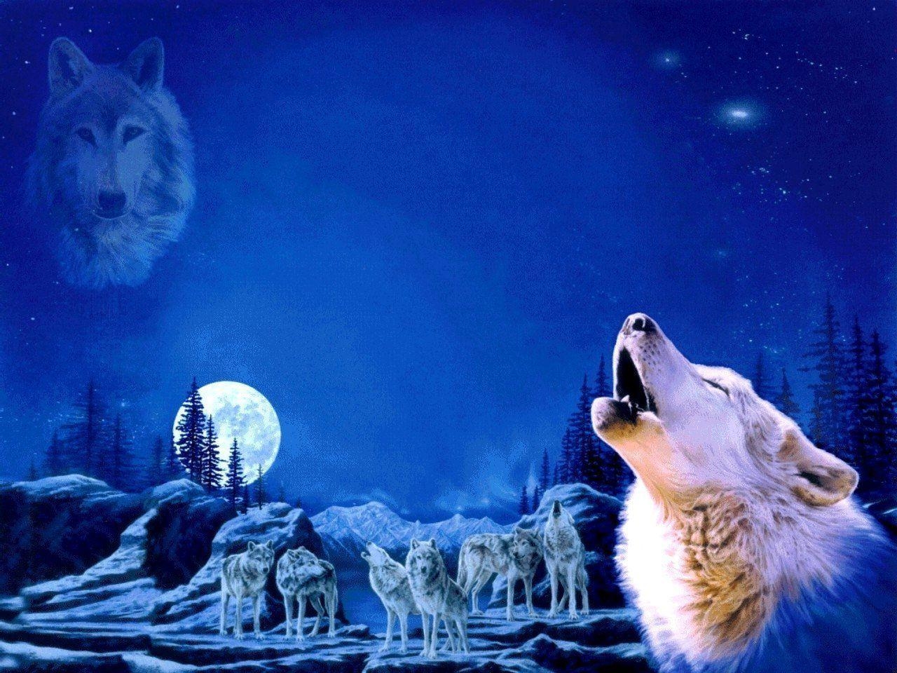 1280x960 Howling Wolf Wallpaper 10713 HD Wallpaper in Animals, Desktop