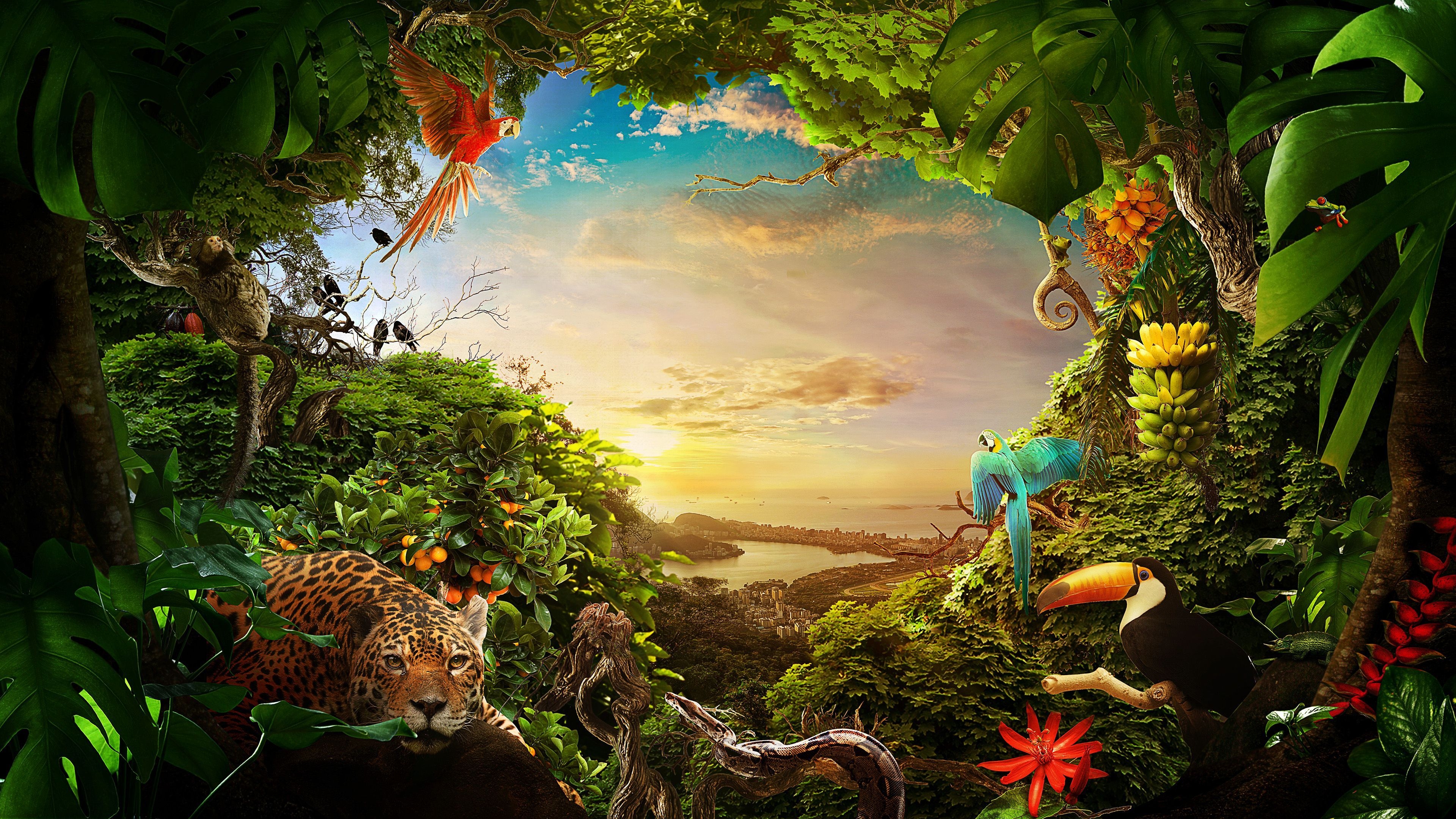 3840x2160 Forest Wildlife Wallpaper Free Forest Wildlife Background, Desktop