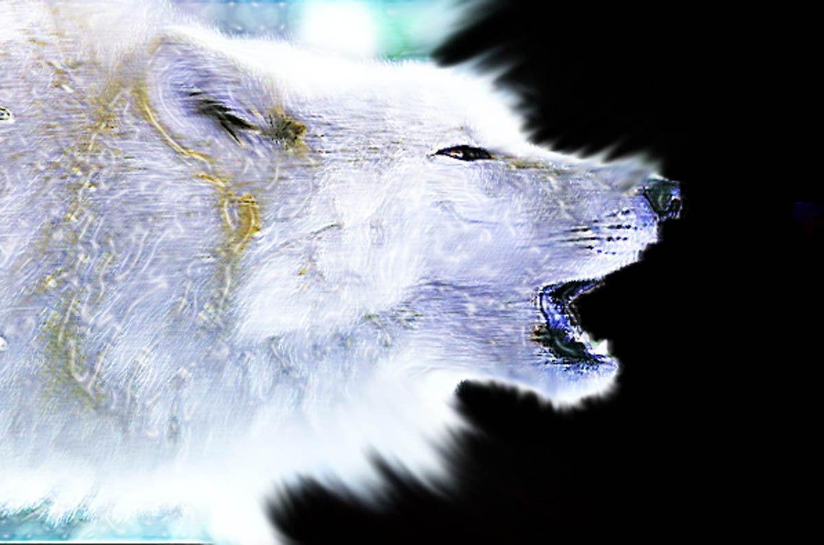 1200x800 Neon Wolf, Number 1, Desktop