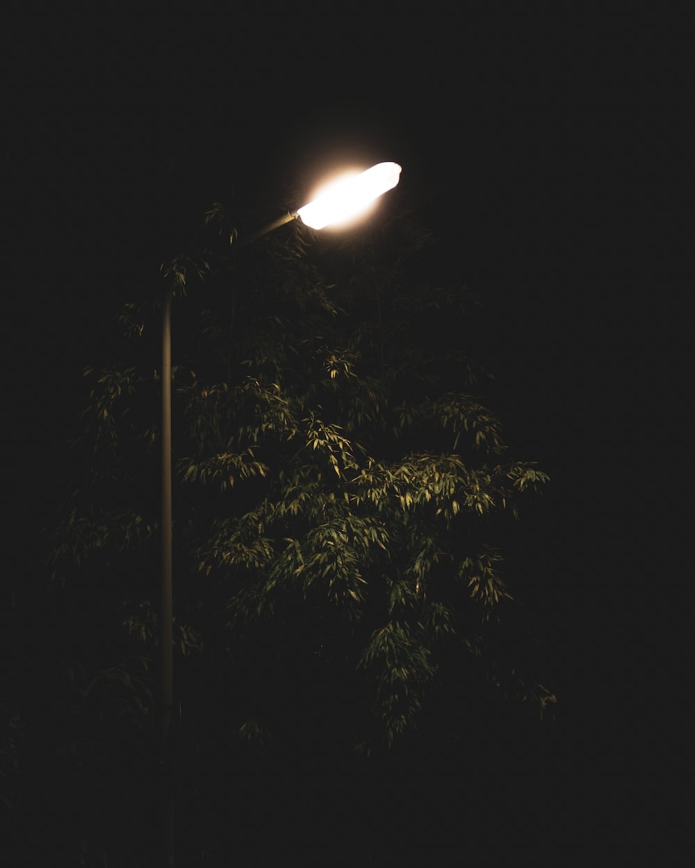 1000x1250 Street Lamp Picture. Download Free Image, Phone