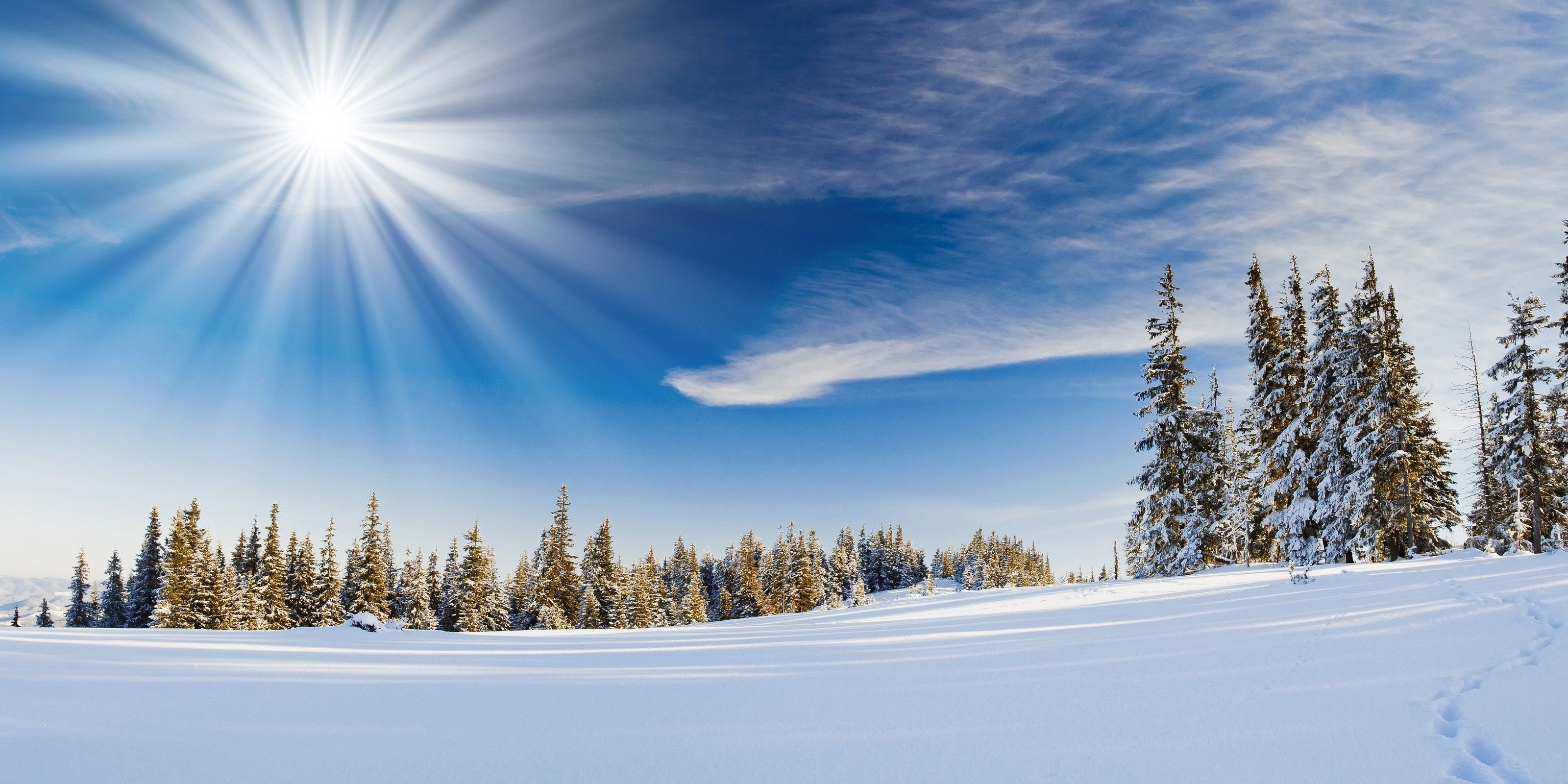 3200x1600 Snow Background Wallpaper Free Snowing Image, Dual Screen