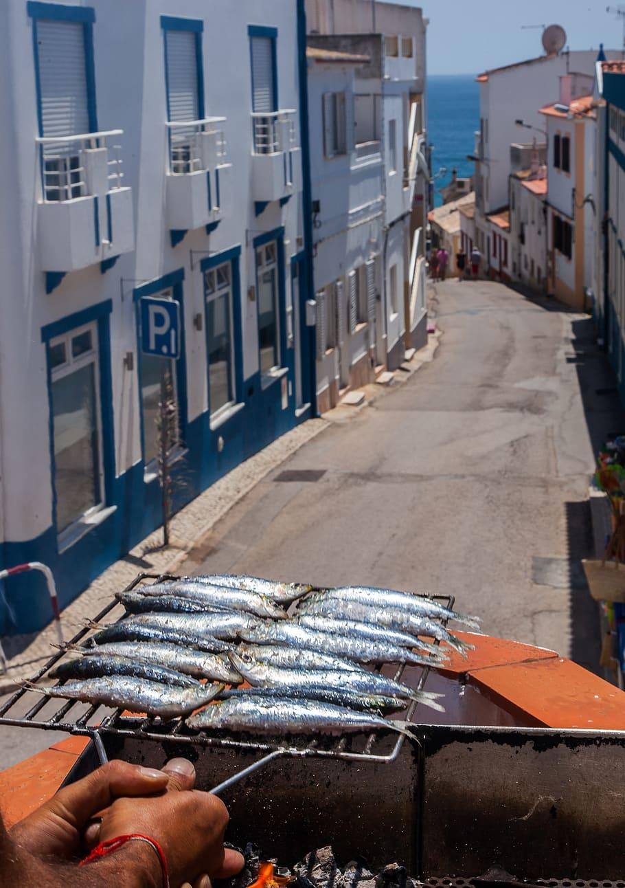 910x1300 HD wallpaper: portugal, lagos, street, fish, old street, Phone