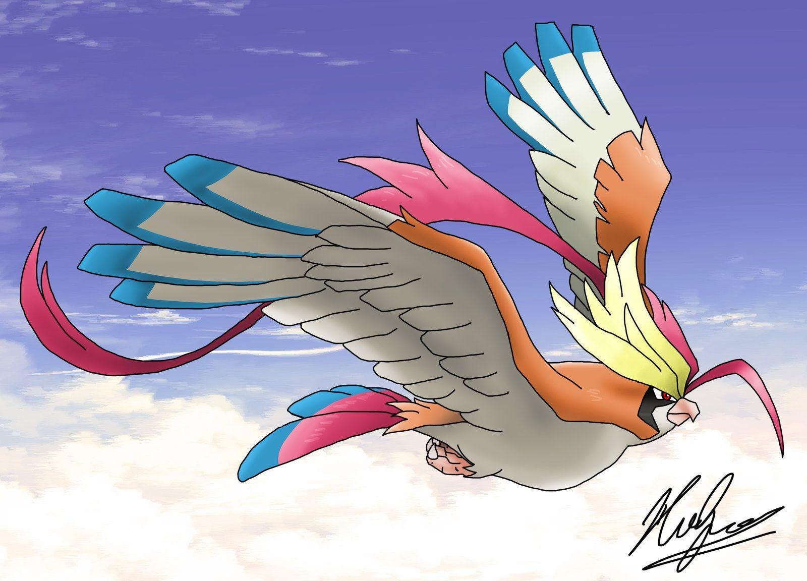 1600x1160 Photo Collection Mega Pidgeot Basic Wallpaper, Desktop