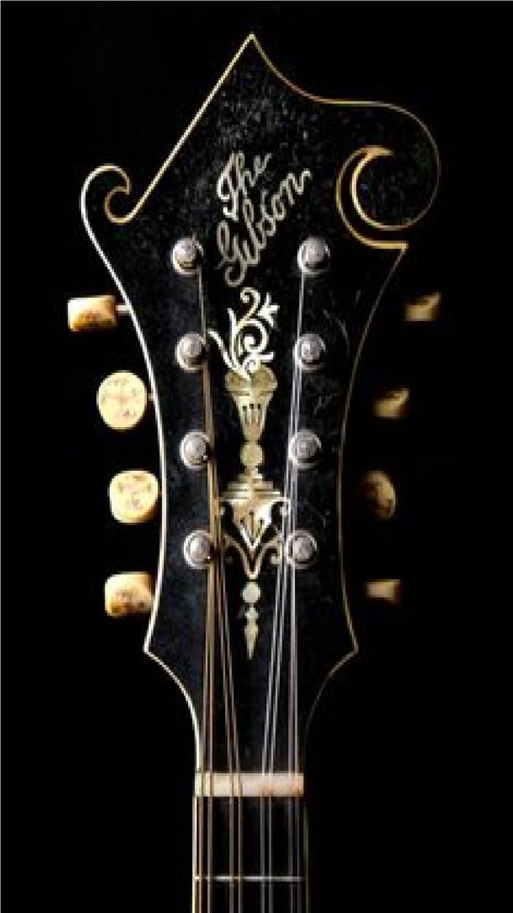 720x1280 Mandolin Head Wallpaper, Phone