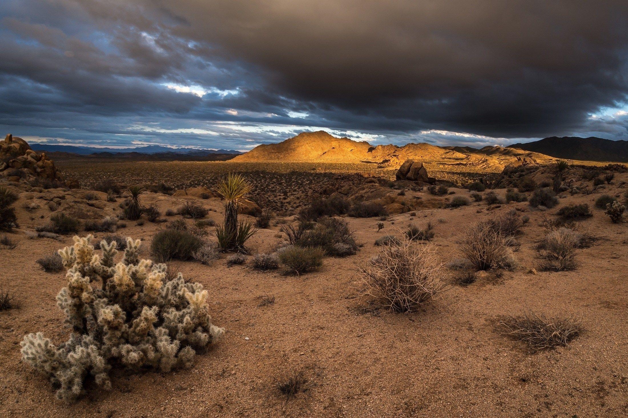 2200x1470 joshua tree national park wallpaper and background, Desktop