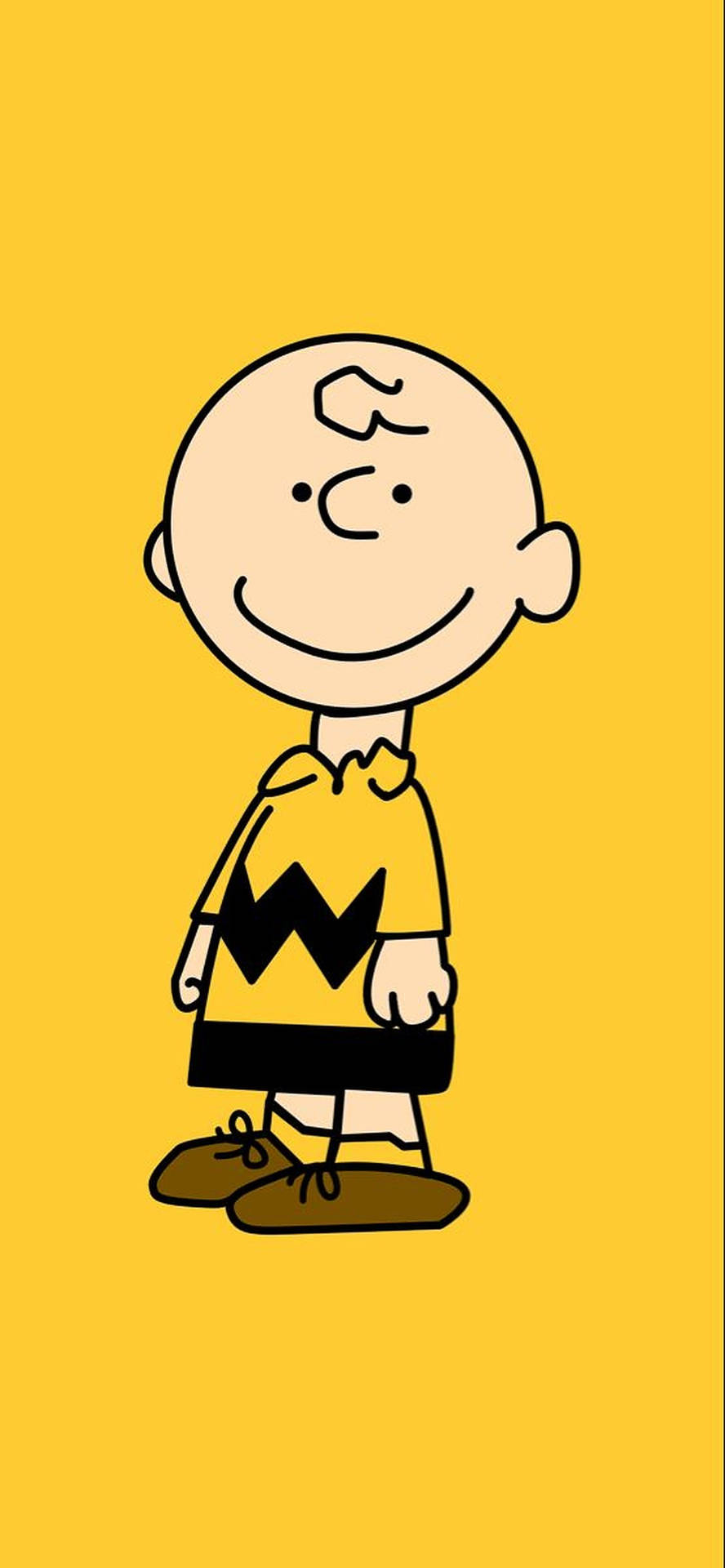 890x1920 Charlie Brown Wallpaper, Phone