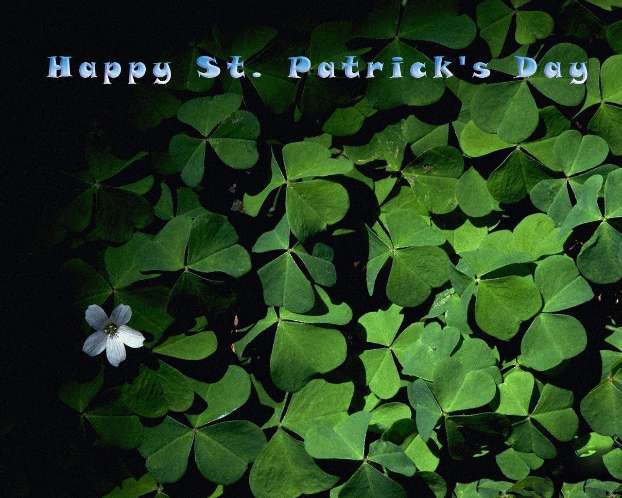 1280x1030 Desktop Wallpaper · Gallery · Miscellaneous · Clovers Saint, Desktop