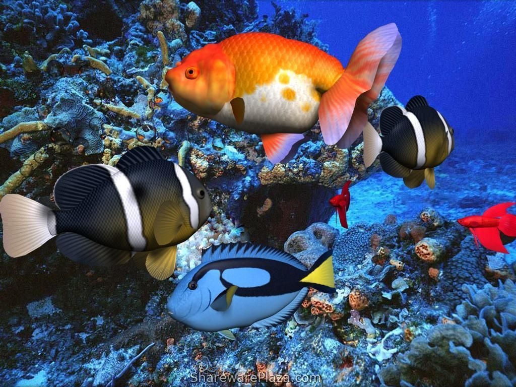 1030x770 Beautiful 3D underwater scene. [wallpaper]. Animated, Desktop