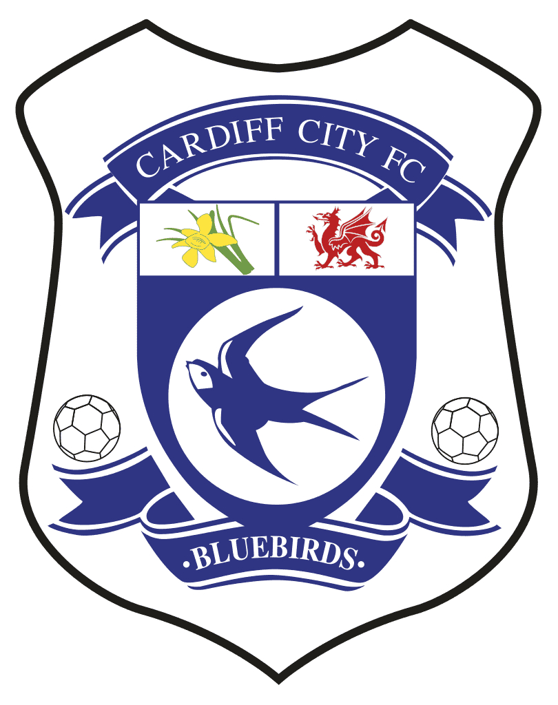 810x1030 Cardiff City F C Wallpaper HD Background, Phone