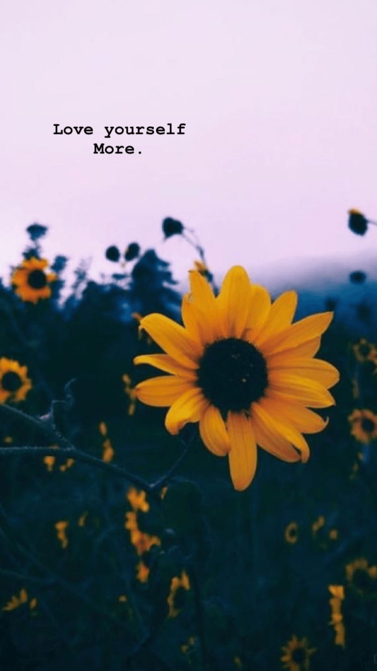 750x1340 sunflower. Aesthetic iphone wallpaper, Sunflower wallpaper, Phone