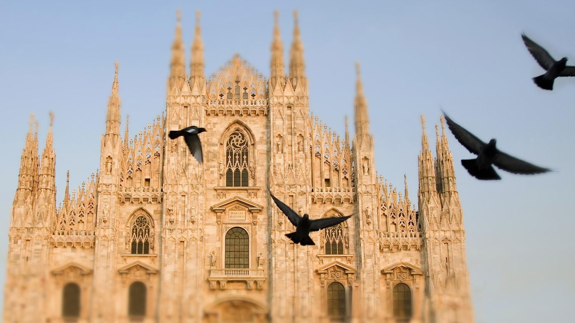 1920x1080 Italy pigeons cathedral milan city wallpaper, Desktop