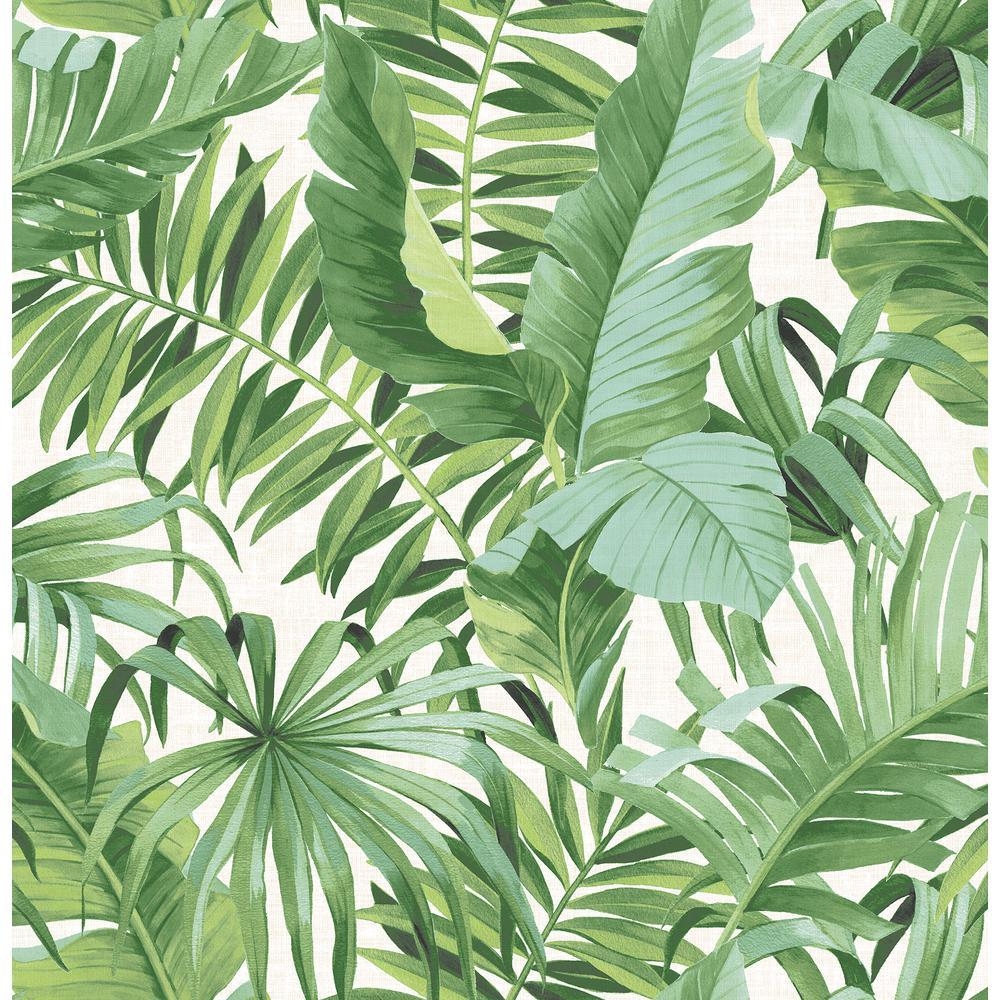 1000x1000 A Street Alfresco Green Palm Leaf Wallpaper Sample 2744 24136SAM, Phone