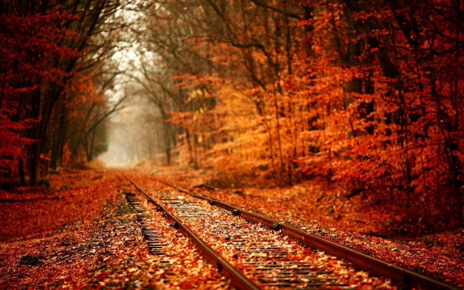 1920x1200 Autumn November Desktop Wallpaper Photo, Desktop