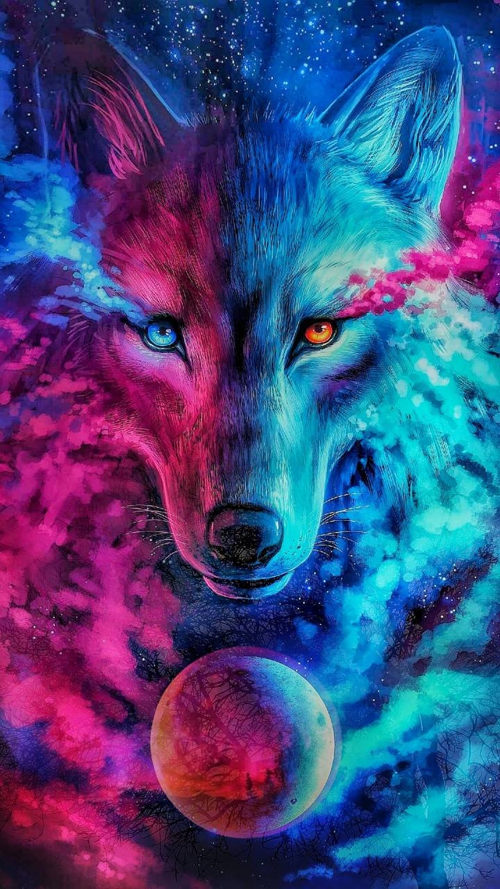 720x1280 Wolf wallpaper, Phone