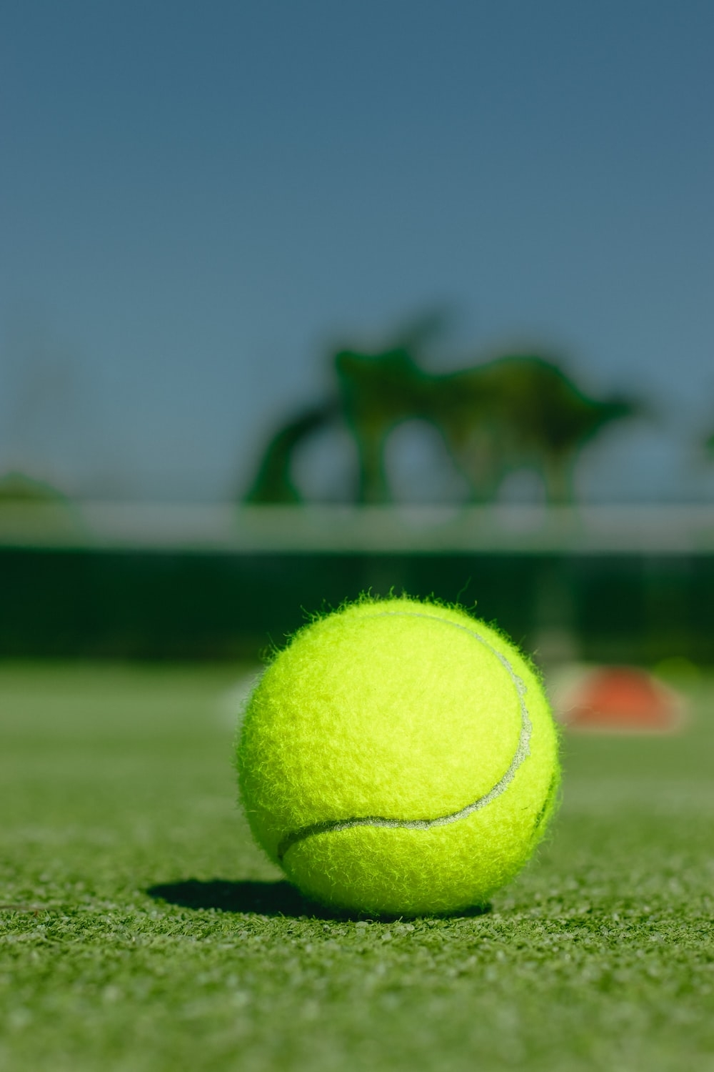 1000x1500 Tennis Ball Picture. Download Free Image, Phone