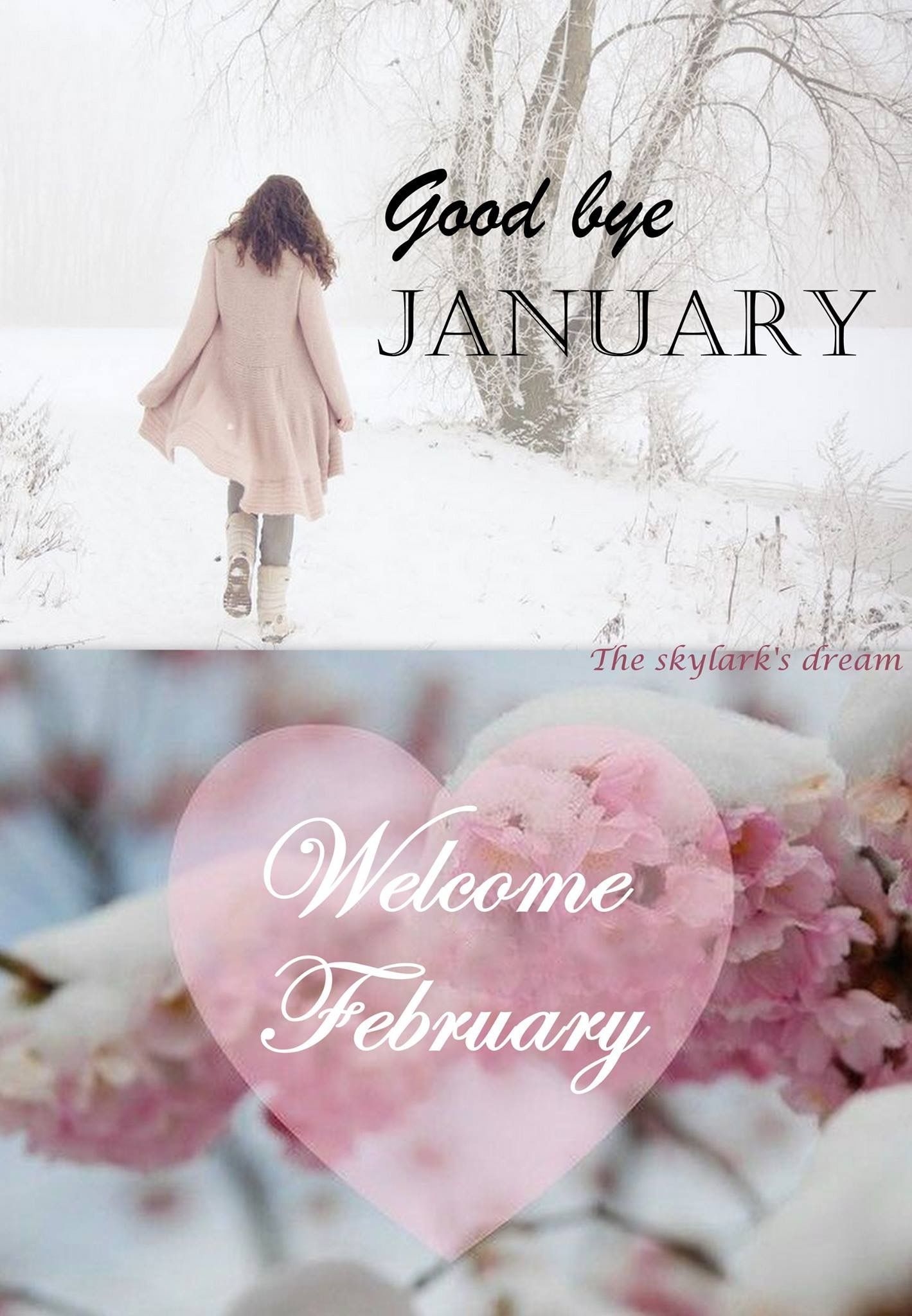 1420x2050 Goodbye January.Welcome February! ❤. Welcome february, Hello february quotes, Hello january, Phone