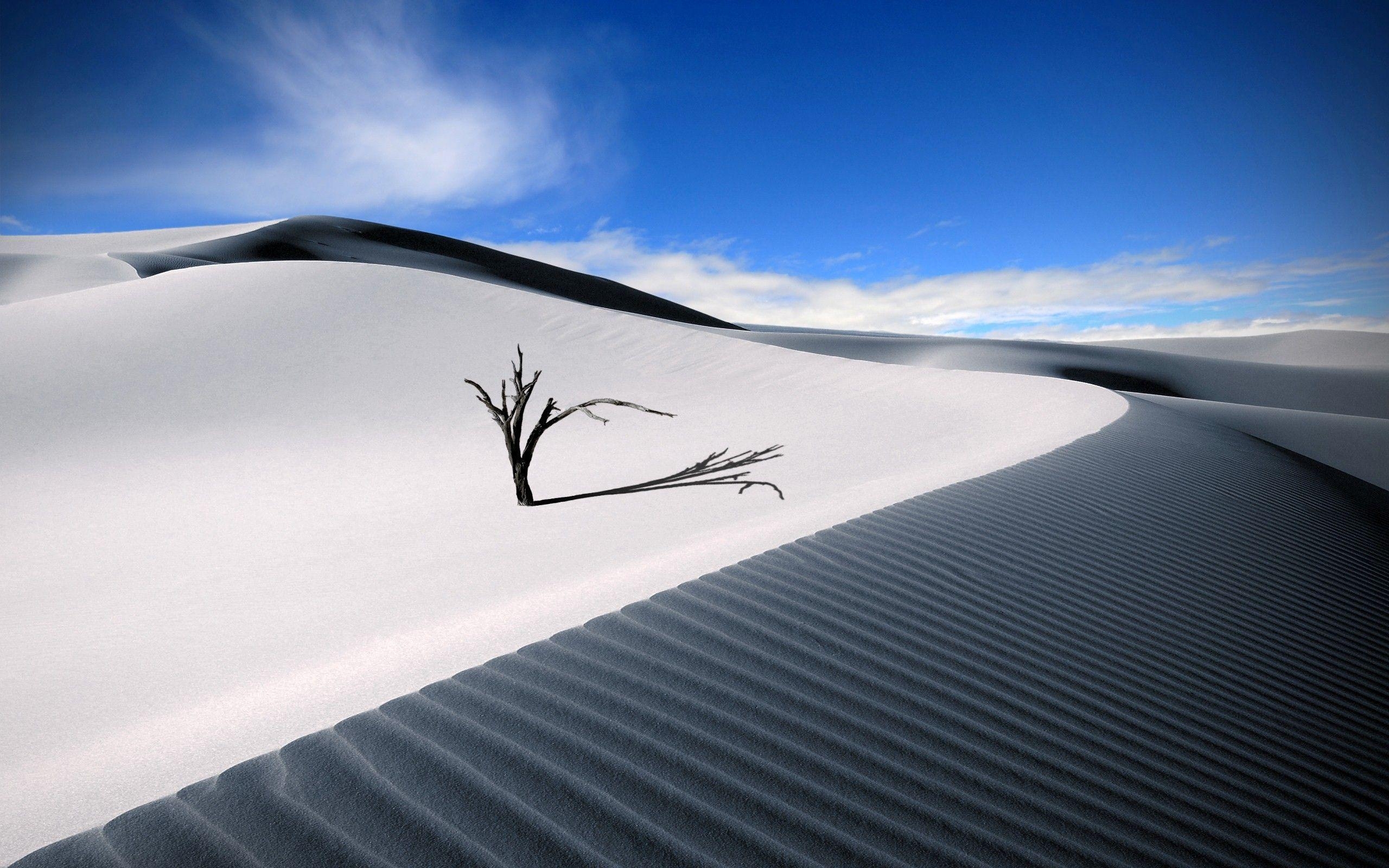 2560x1600 Wilderness and Desert Wallpaper. Free Download HD Beautiful Image, Desktop