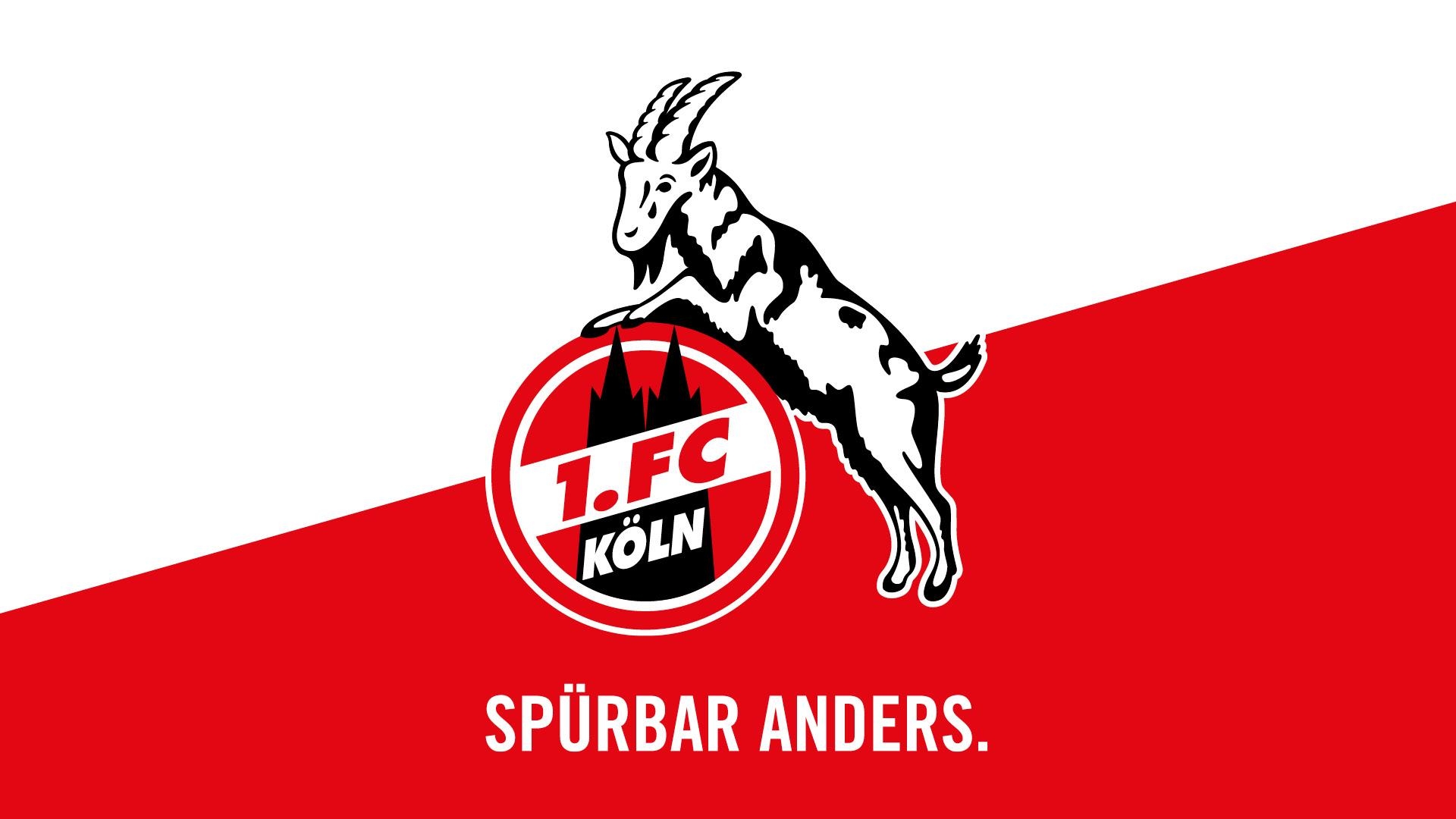 1920x1080 1. FC Köln. Bundesliga, Desktop