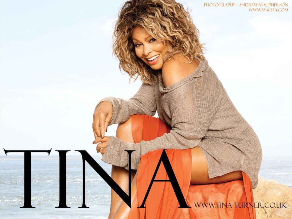 1030x770 Tina Turner image Tina Turner HD wallpaper and background photo, Desktop