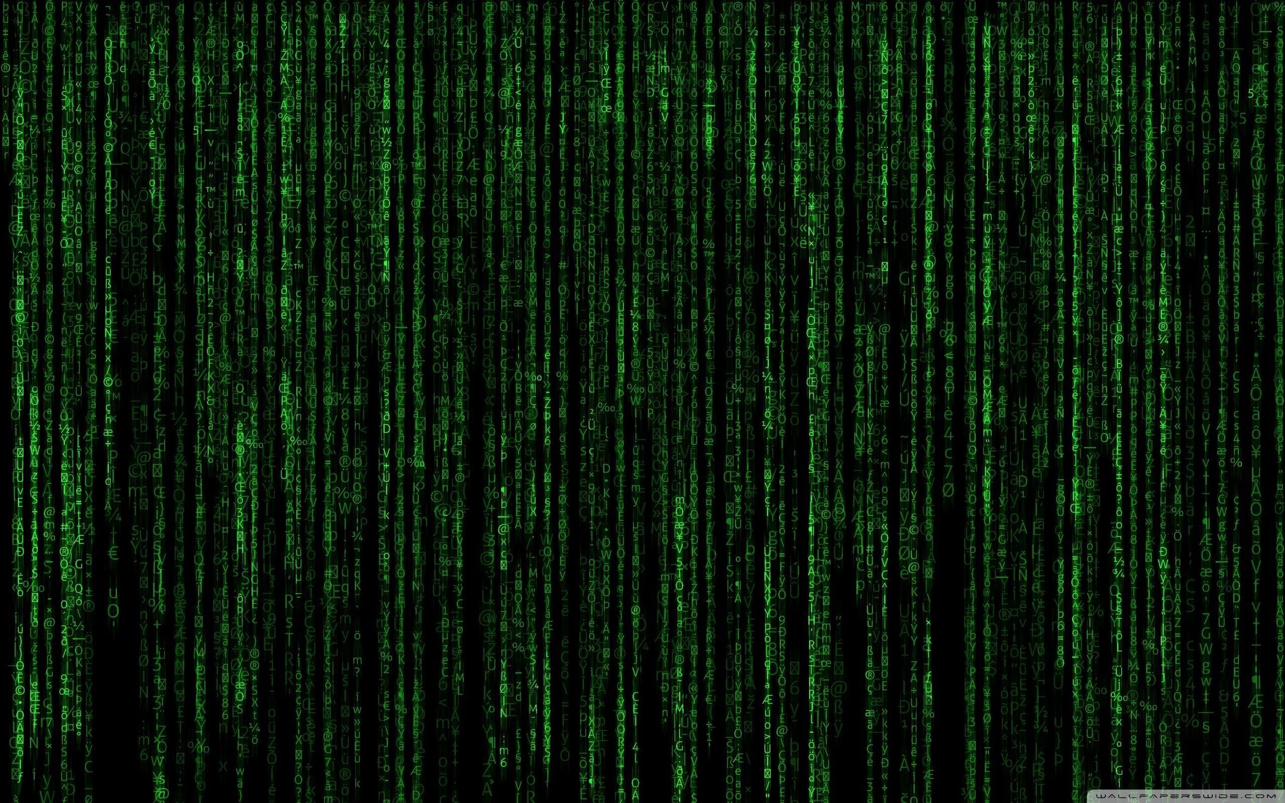 2560x1600 The Matrix 4K Wallpaper Free The Matrix 4K Background, Desktop