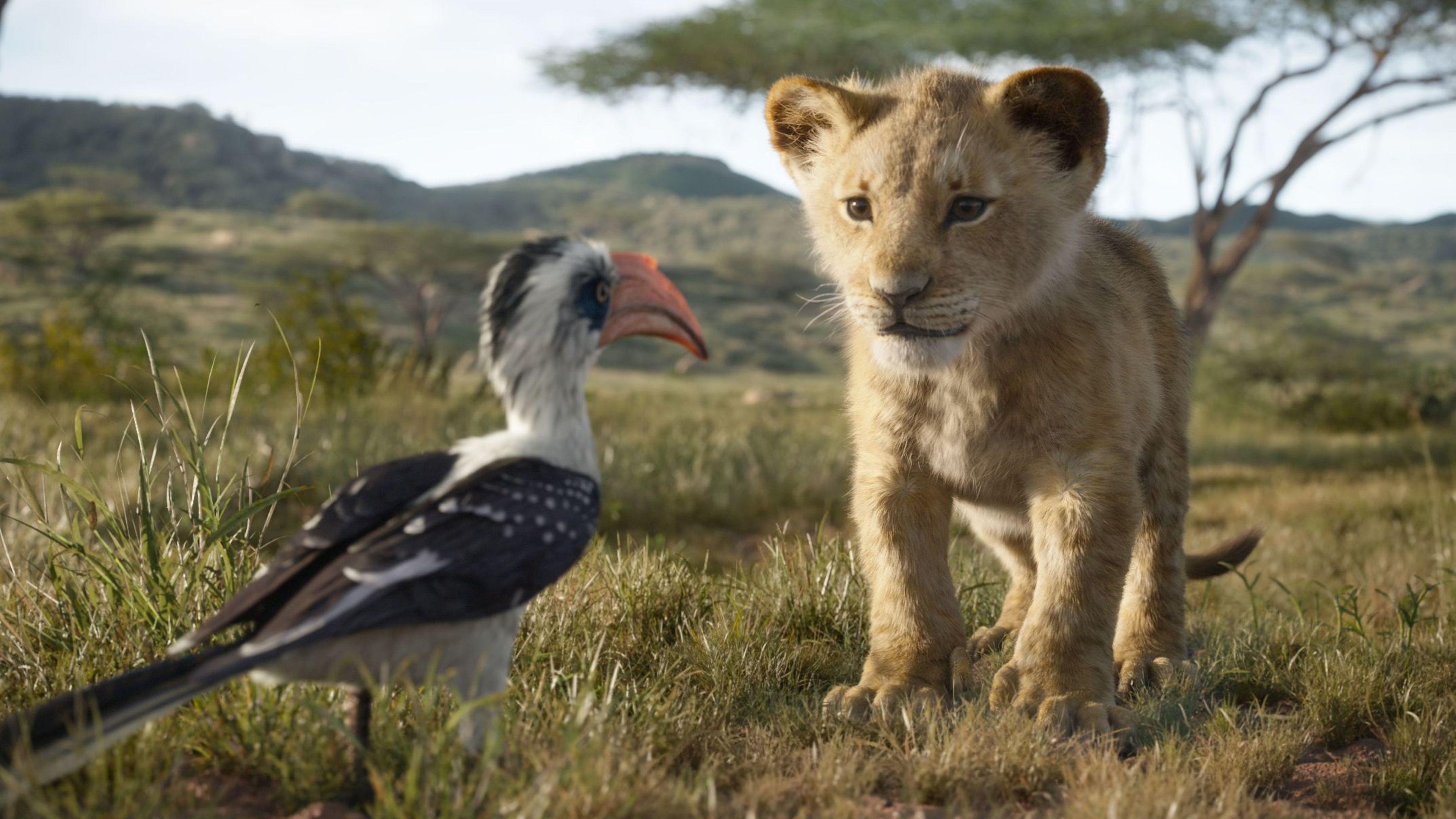 3840x2160 Wallpaper 4k The Lion King Simba 4k 2019 Movies Wallpaper, 4k Wallpaper, Disney Wallpaper, Hd Wallpaper, Lion Wallpaper, Movies Wallpaper, Simba Wallpaper, The Lion King Wallpaper, Desktop