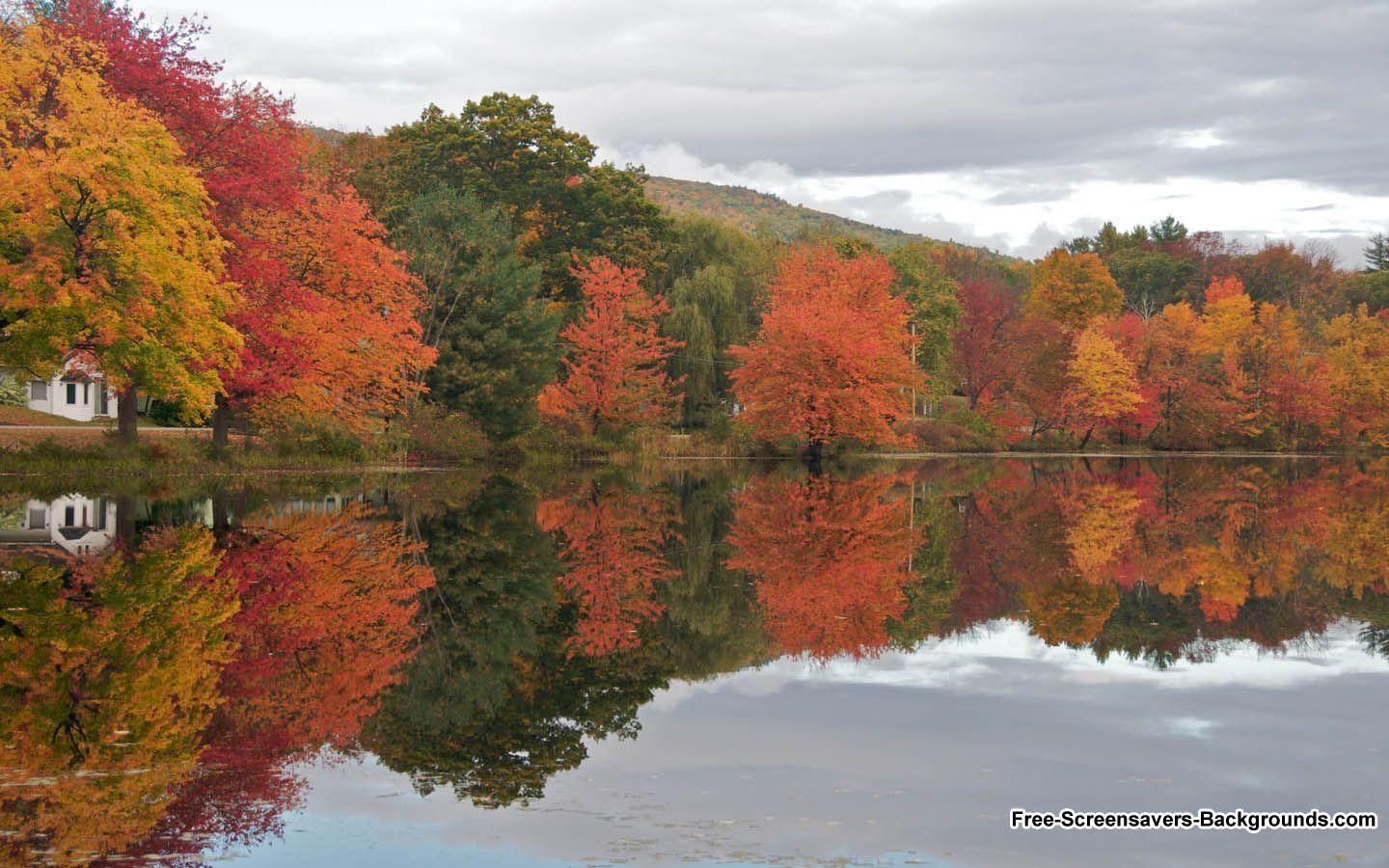 1440x900 Autumn and Background, Desktop