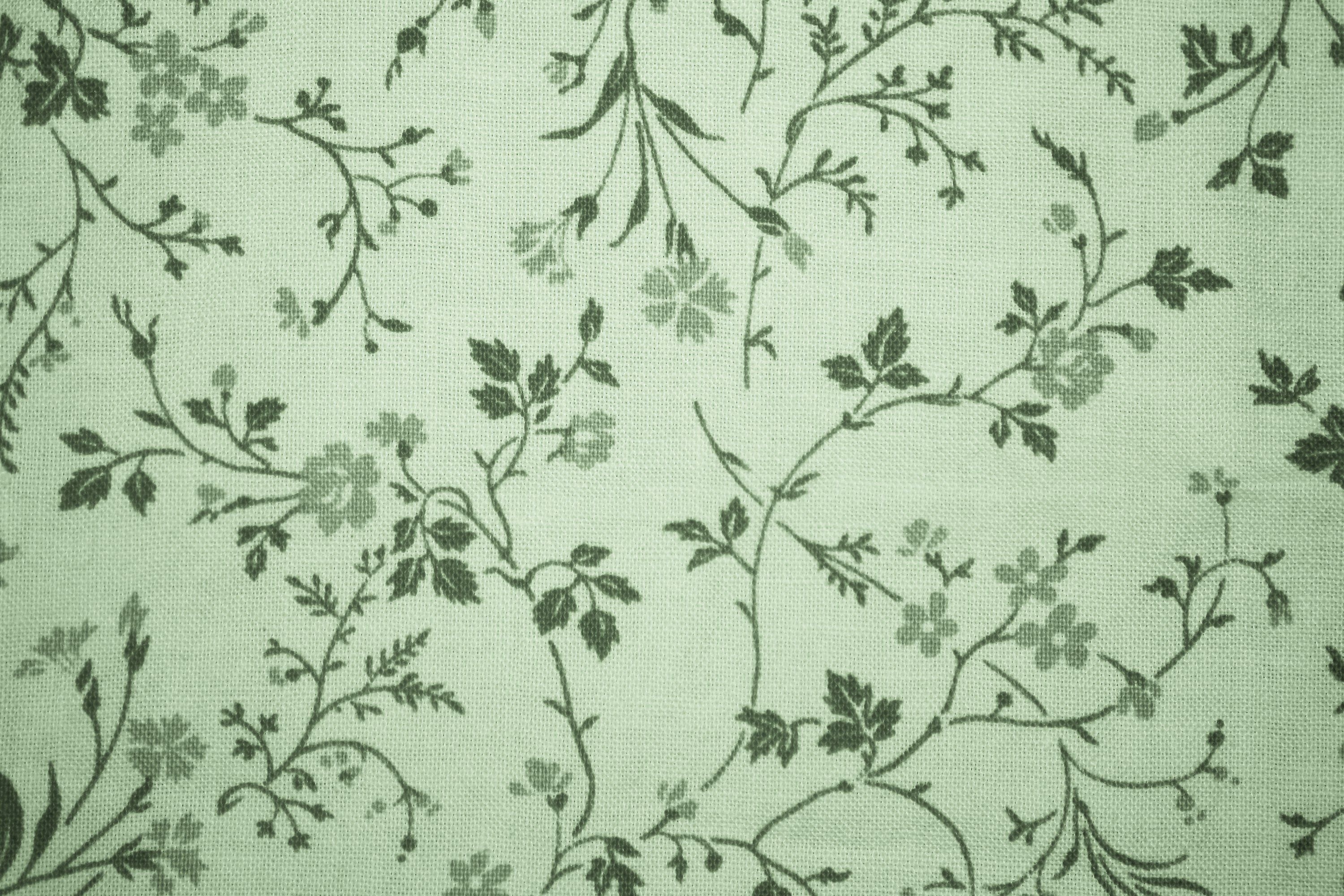 3000x2000 Sage Green Wallpaper Desktop, Desktop