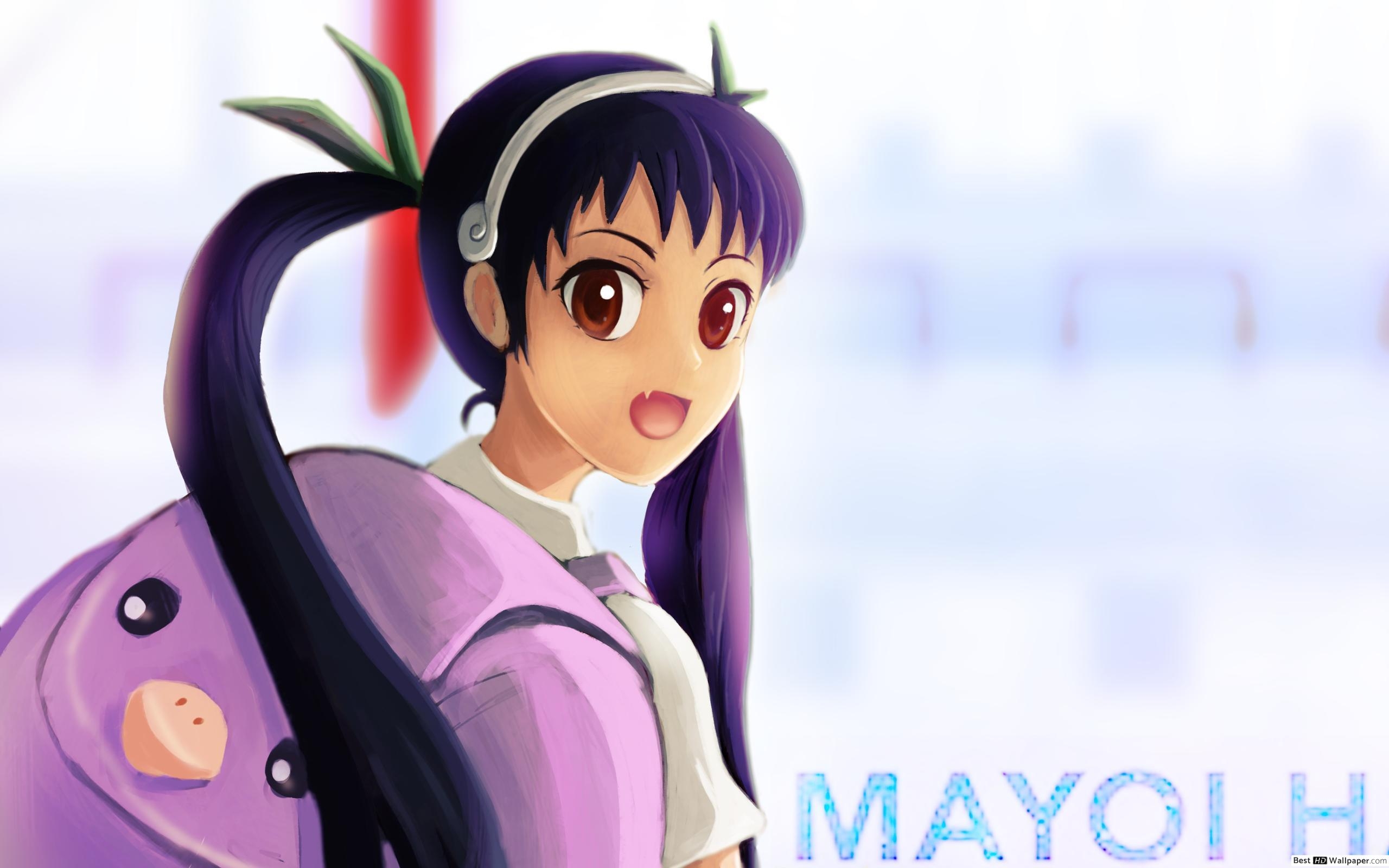 2560x1600 Monogatari Series Hachikuji HD wallpaper download, Desktop