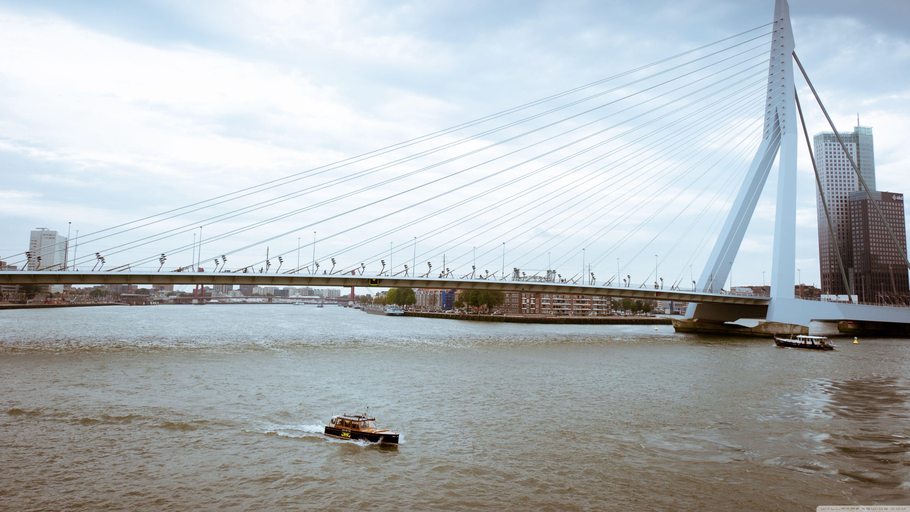 3840x2160 Erasmus Bridge, Rotterdam, Netherlands ❤ 4K HD Desktop Wallpaper, Desktop