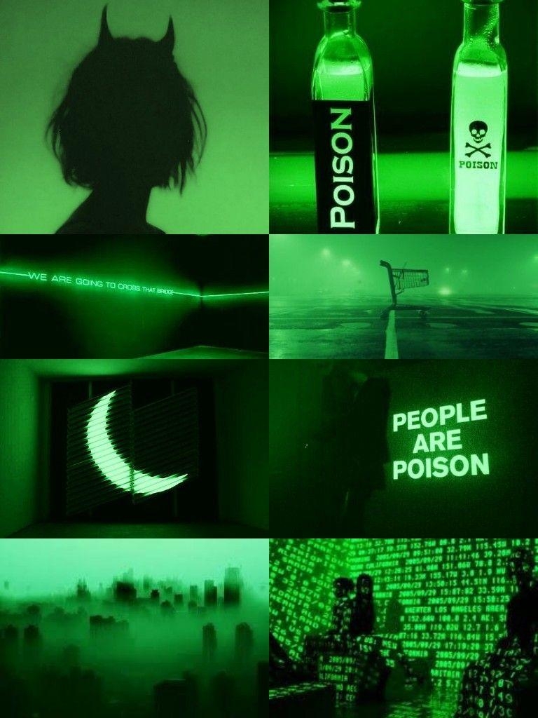 770x1030 Green aesthetic. Dark green aesthetic, Green aesthetic, Green aesthetic tumblr, Phone