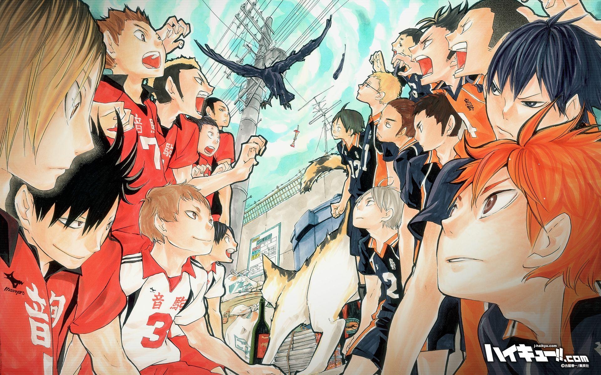 1920x1200 V.39: Haikyuu Wallpaper, HD Image of Haikyuu, Ultra HD 4K Haikyuu, Desktop