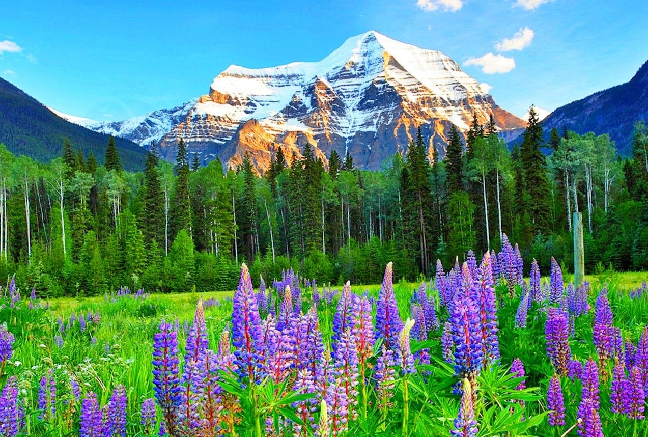 1280x860 Canadian Rockies, Desktop