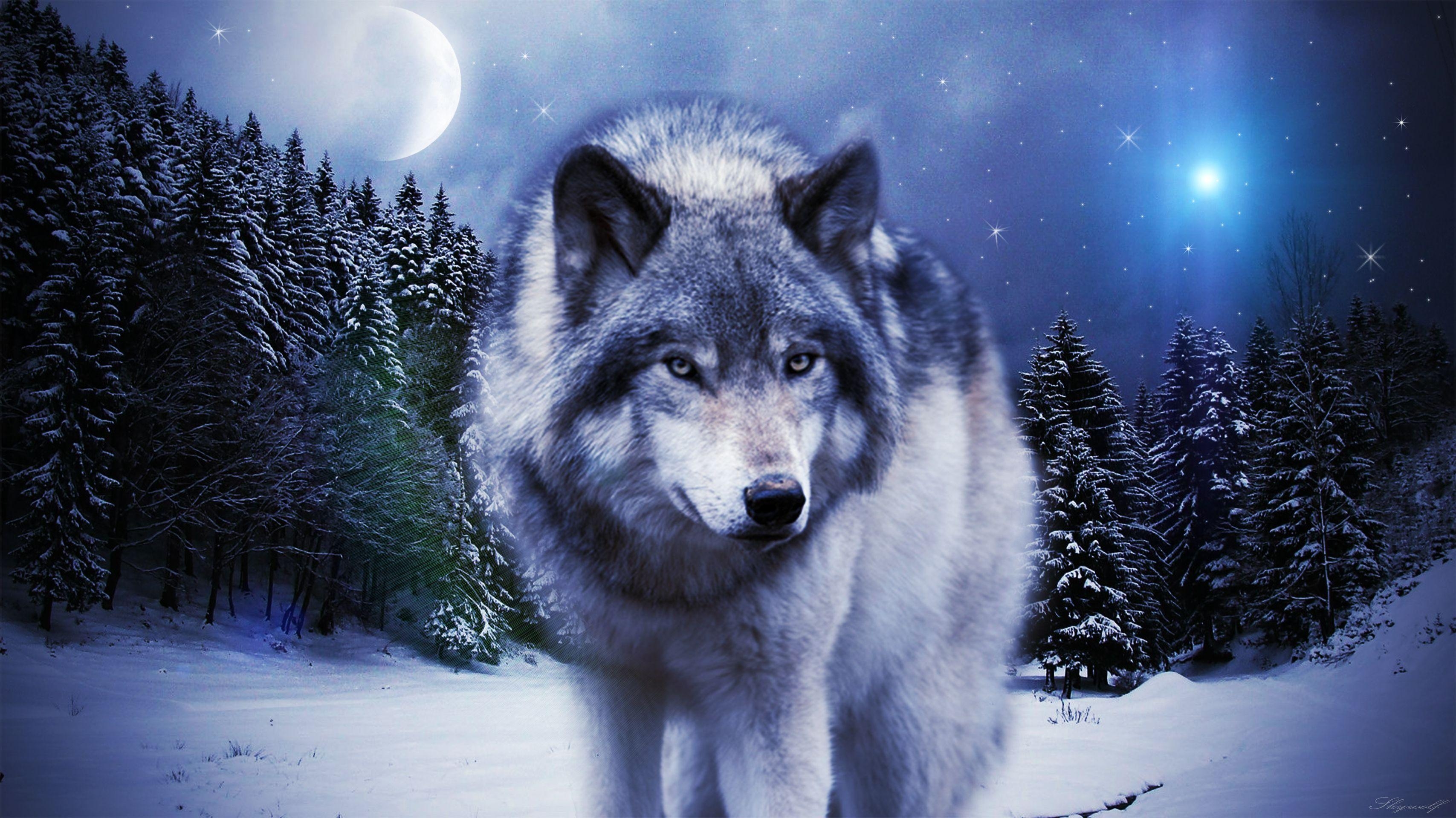 3420x1920 Wolf Pics Wolf Pics Background, Desktop