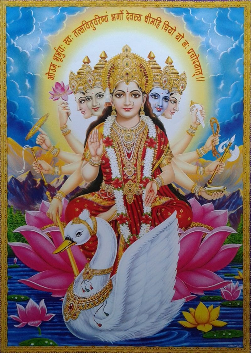 800x1130 Hindu Goddess * Gayatri Maa (Big Size 20x28). Gayatri devi, Gayatri mantra, Durga image, Phone