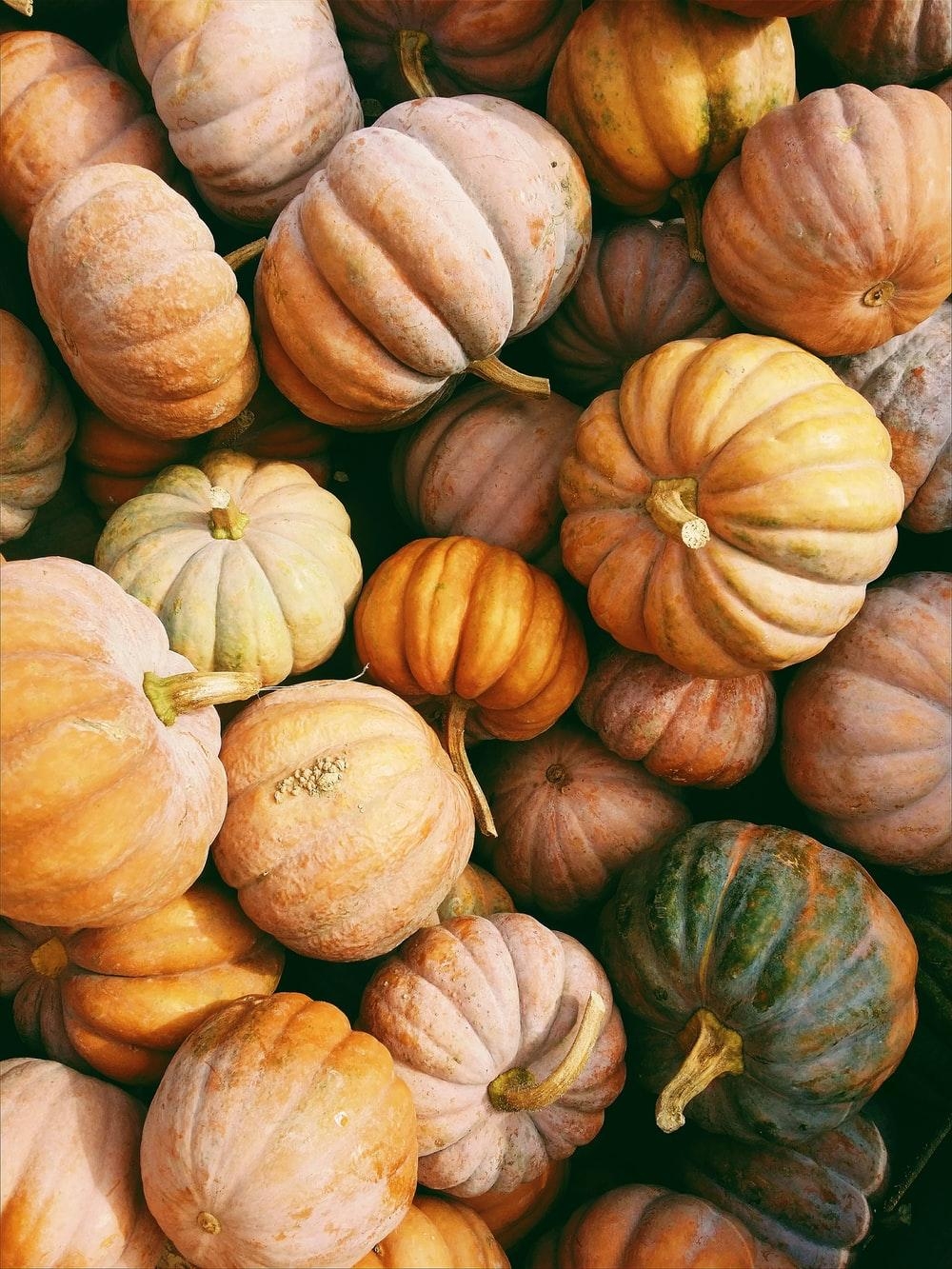 1000x1340 Pumpkin Picture [HD]. Download Free Image, Phone