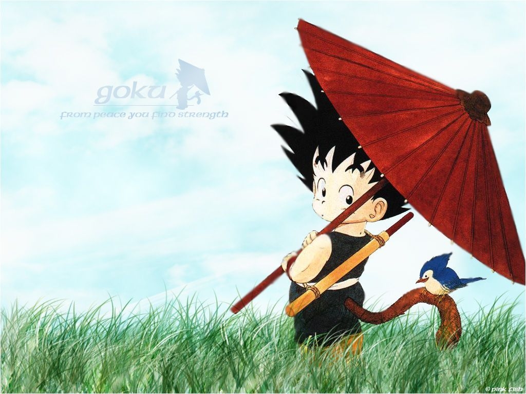 1030x770 Kid Goku Wallpaper, Desktop