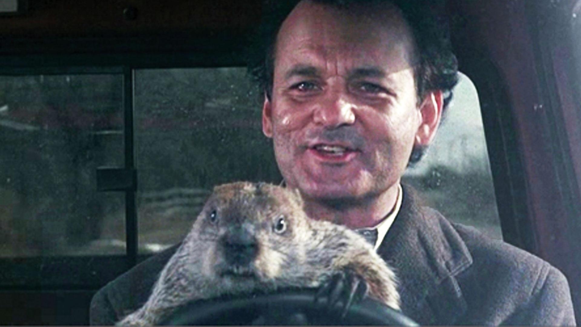 1920x1080 Actress Andie MacDowell Says A GROUNDHOG DAY Sequel Is Never Going, Desktop