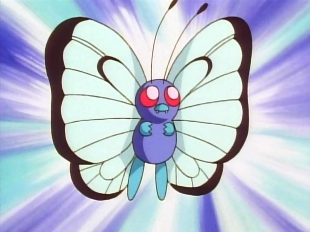 1030x770 Butterfree. Pokémon Amino, Desktop