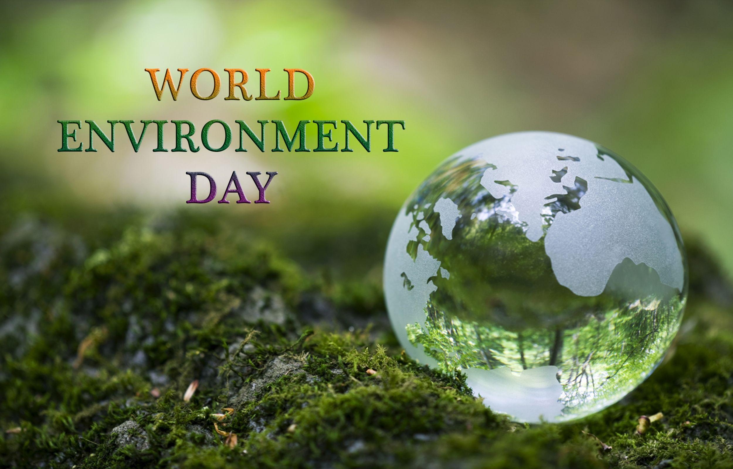 2500x1600 World Environment Day Protect For Wallpaper, Desktop