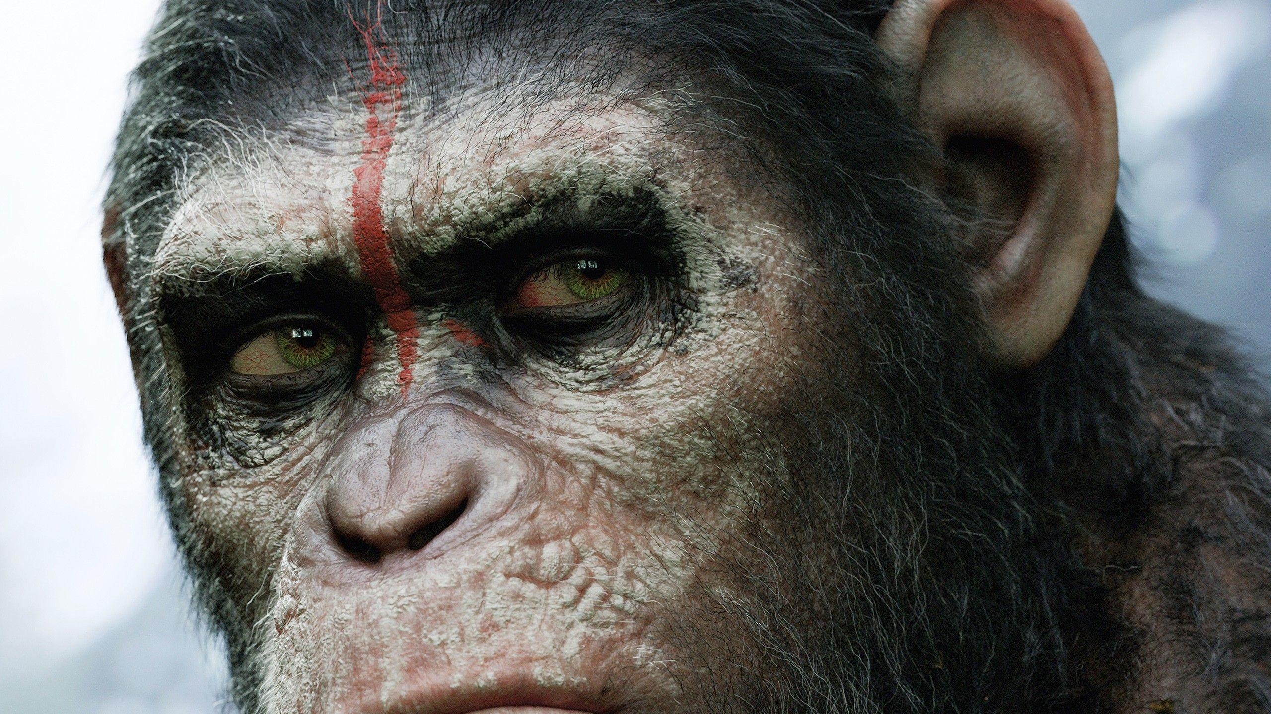 2560x1440 Dawn of the Planet of the Apes 2014 Wallpaper, Desktop