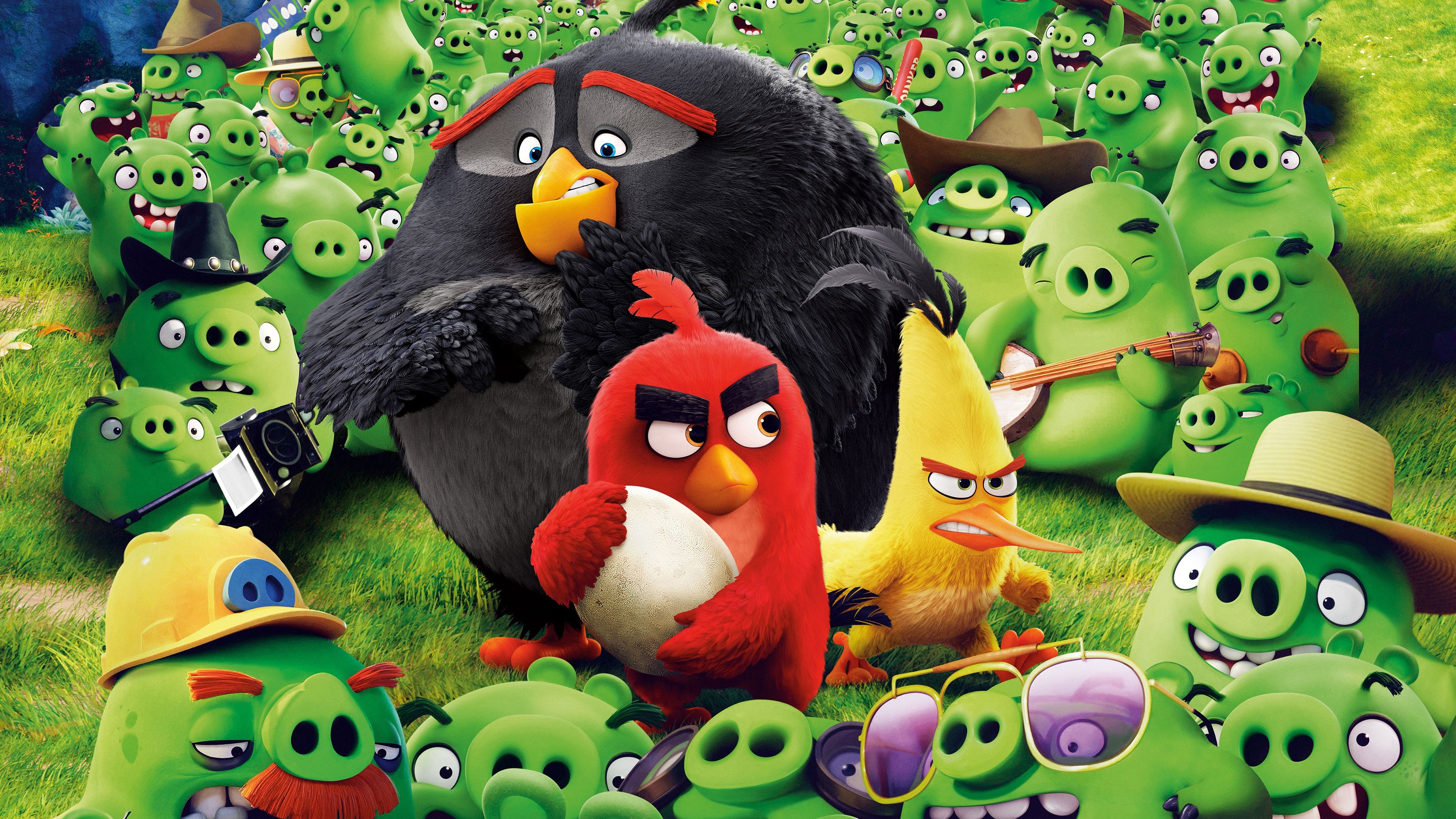 3880x2180 Angry Birds Save The Egg 4k, HD Movies, 4k Wallpaper, Image, Background, Photo and Picture, Desktop