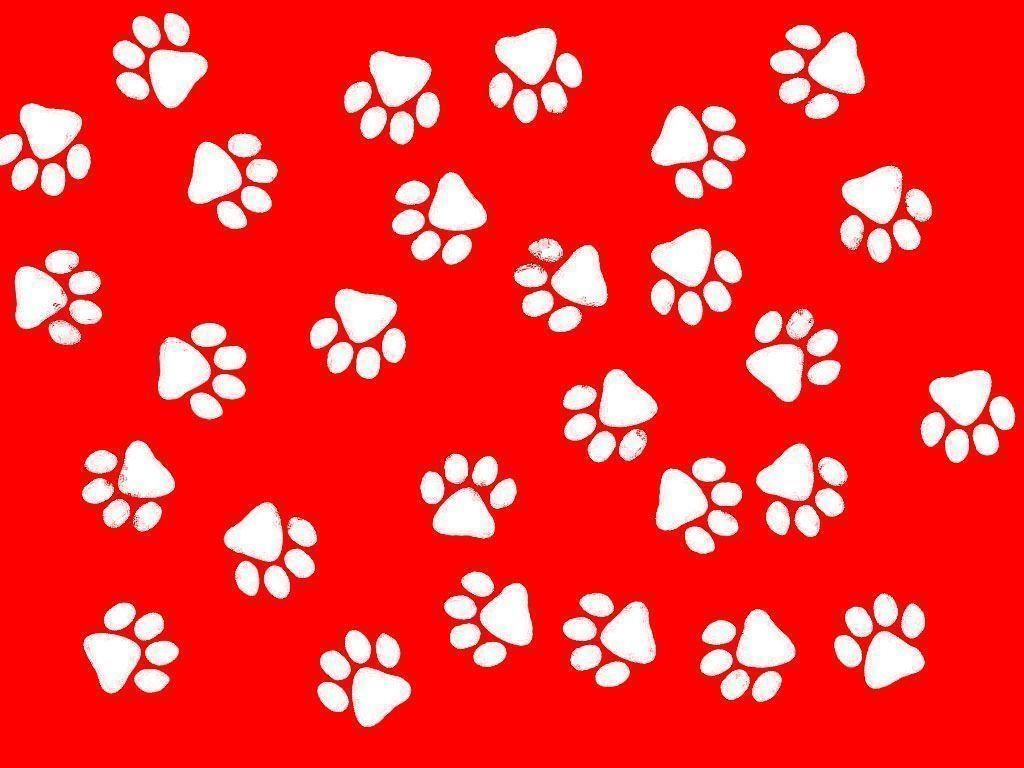 1030x770 Paw Print Clip Art Border, Desktop