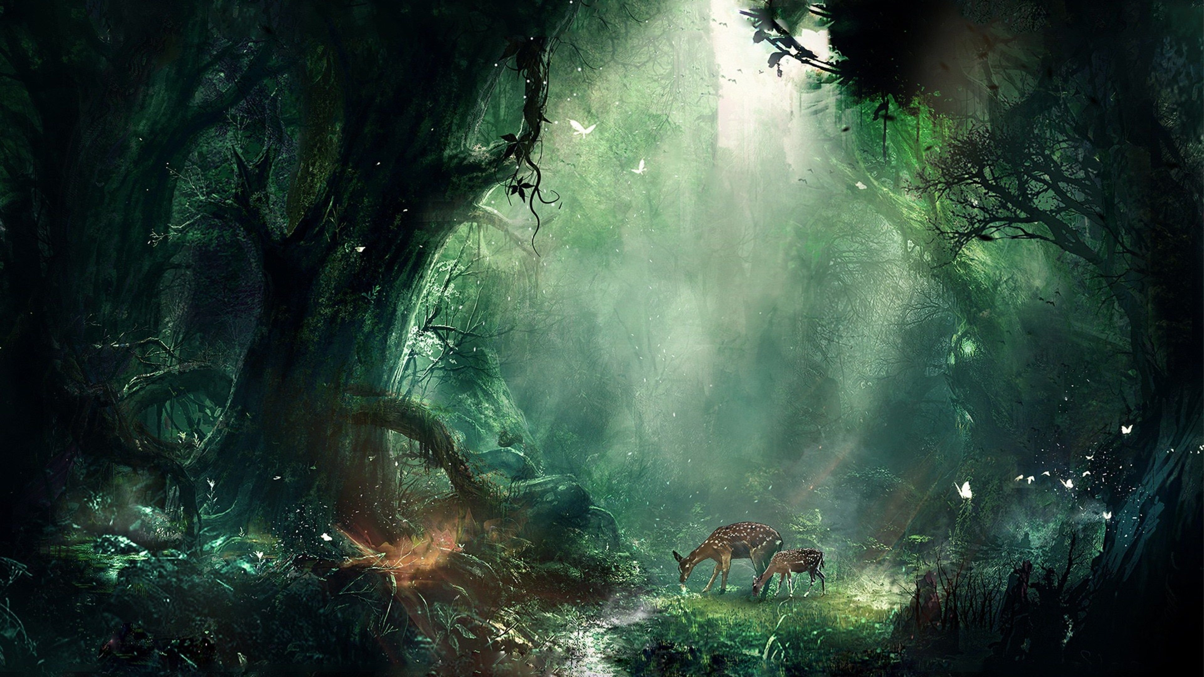 3840x2160 Nature Of Jungle 4K wallpaper, Desktop