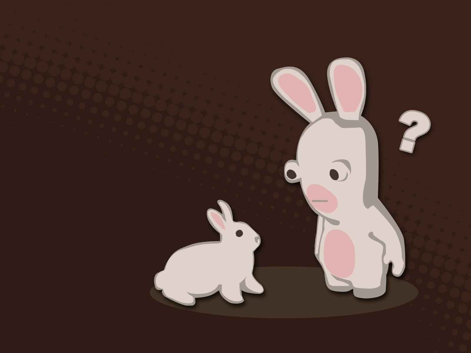 1600x1200 Rabbid vs. Rabbit, Desktop