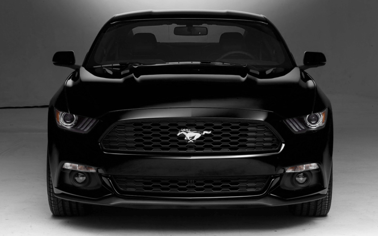 1280x800 Black Ford Mustang Gt Wallpaper HD, Flowers Wallpaper, Desktop